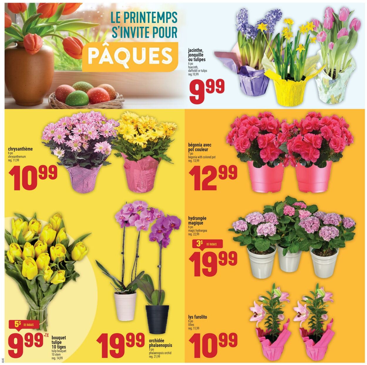 Circulaire Adonis 02.04.2026 - 08.04.2026