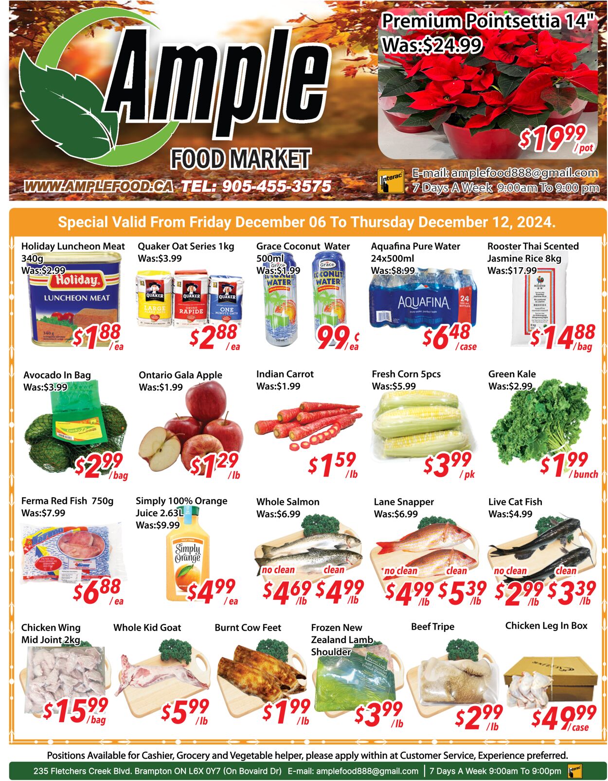 Ample Food Market Circulaires