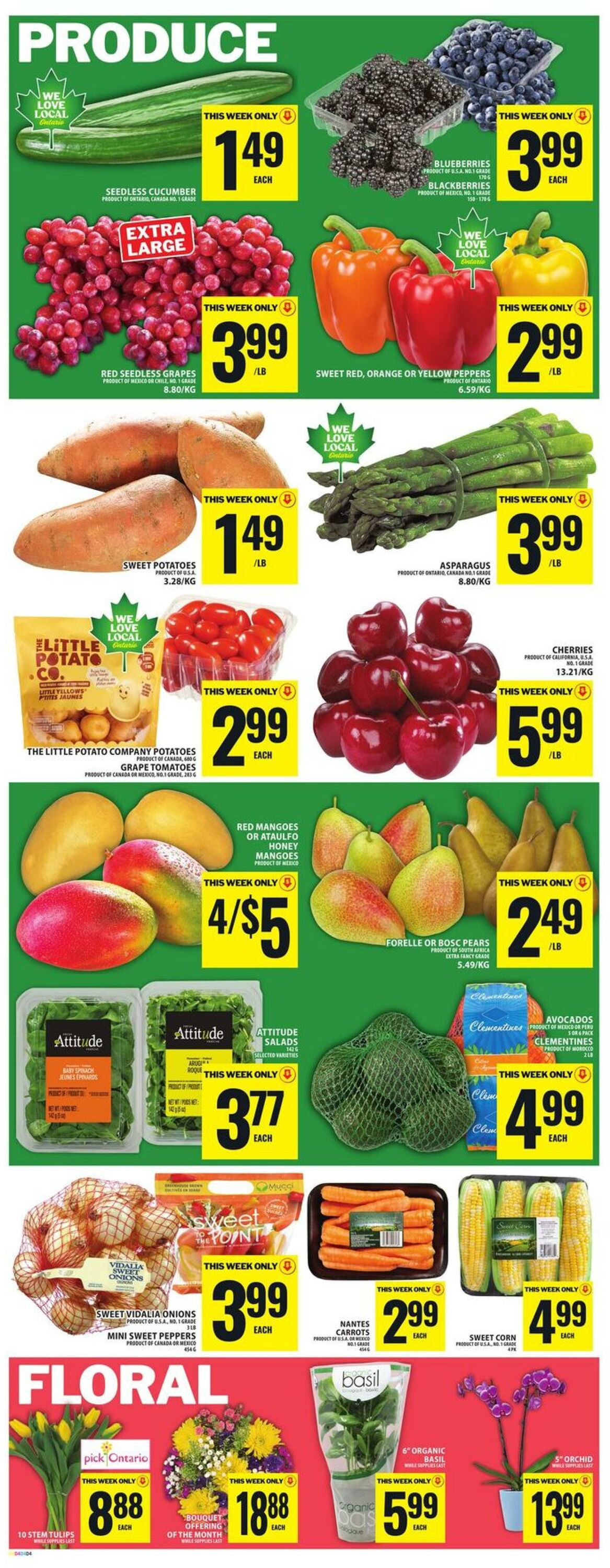 Circulaire Food Basics 14.05.2026 - 20.05.2026