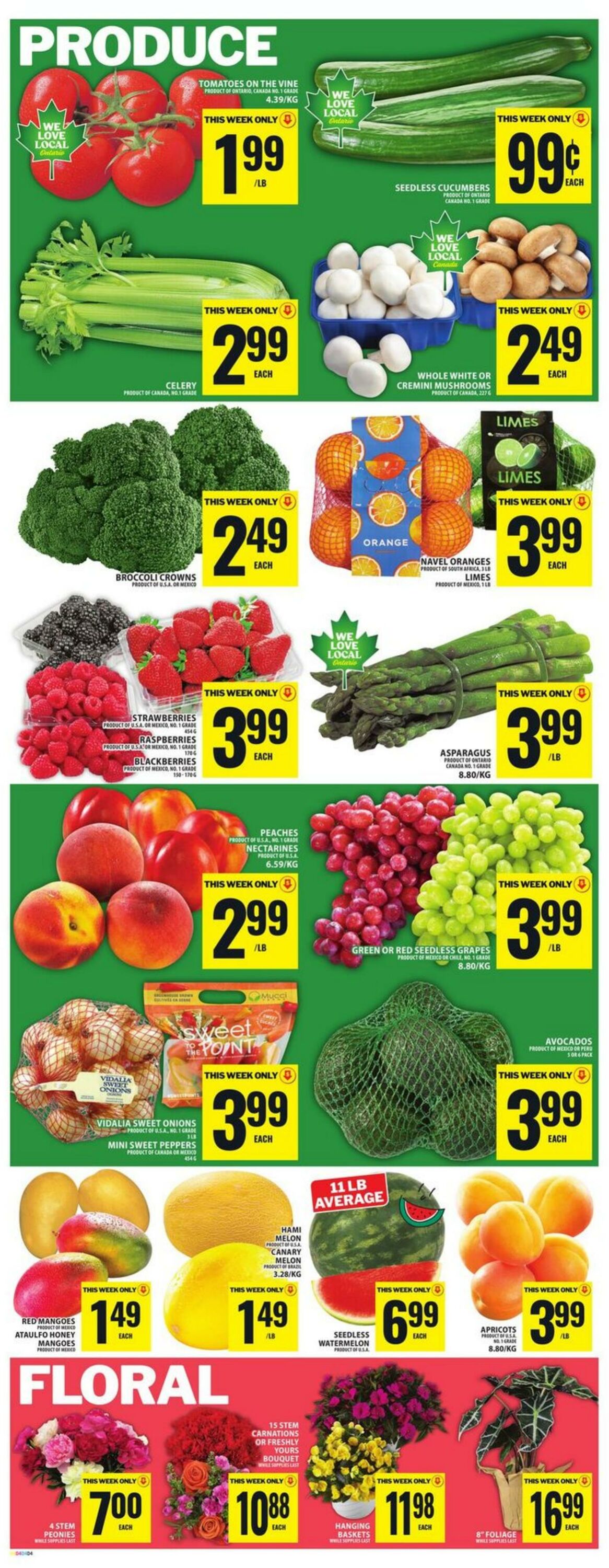 Circulaire Food Basics 04.06.2026 - 10.06.2026