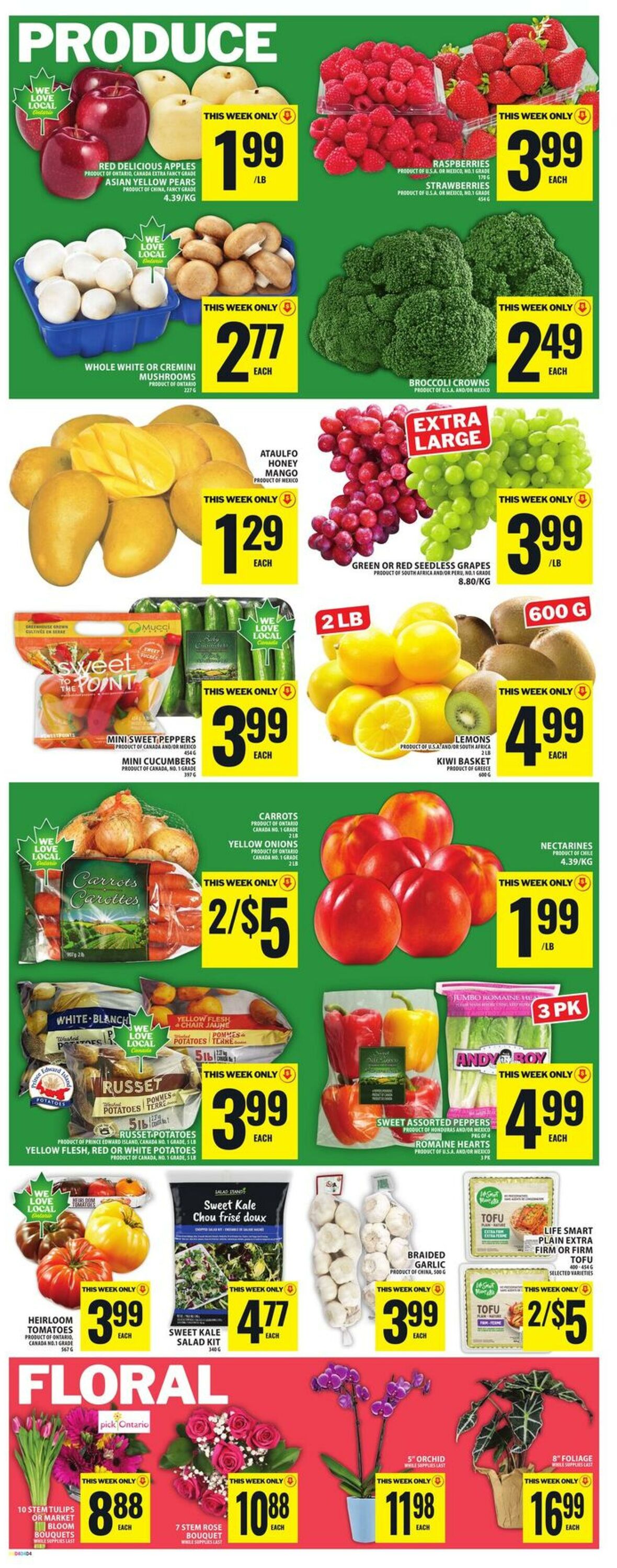 Circulaire Food Basics 19.03.2026 - 25.03.2026