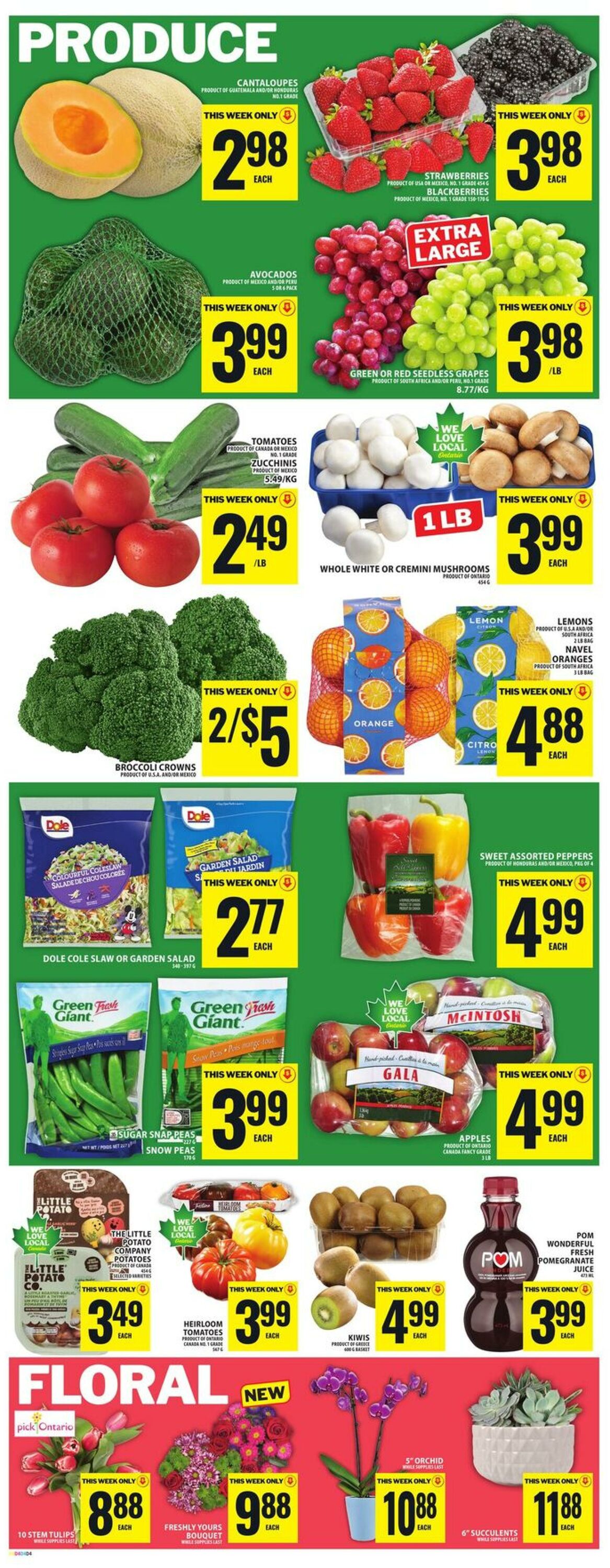 Circulaire Food Basics 26.02.2026 - 04.03.2026