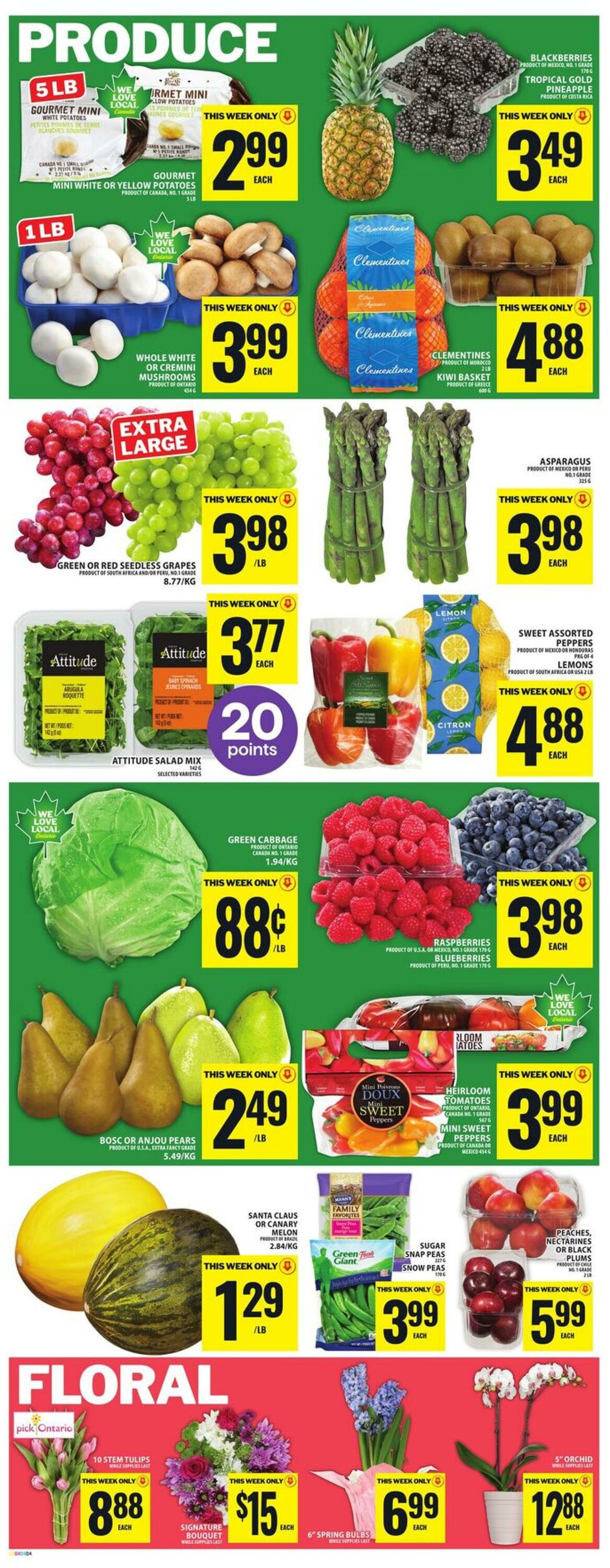 Circulaire Food Basics 19.02.2026 - 25.02.2026