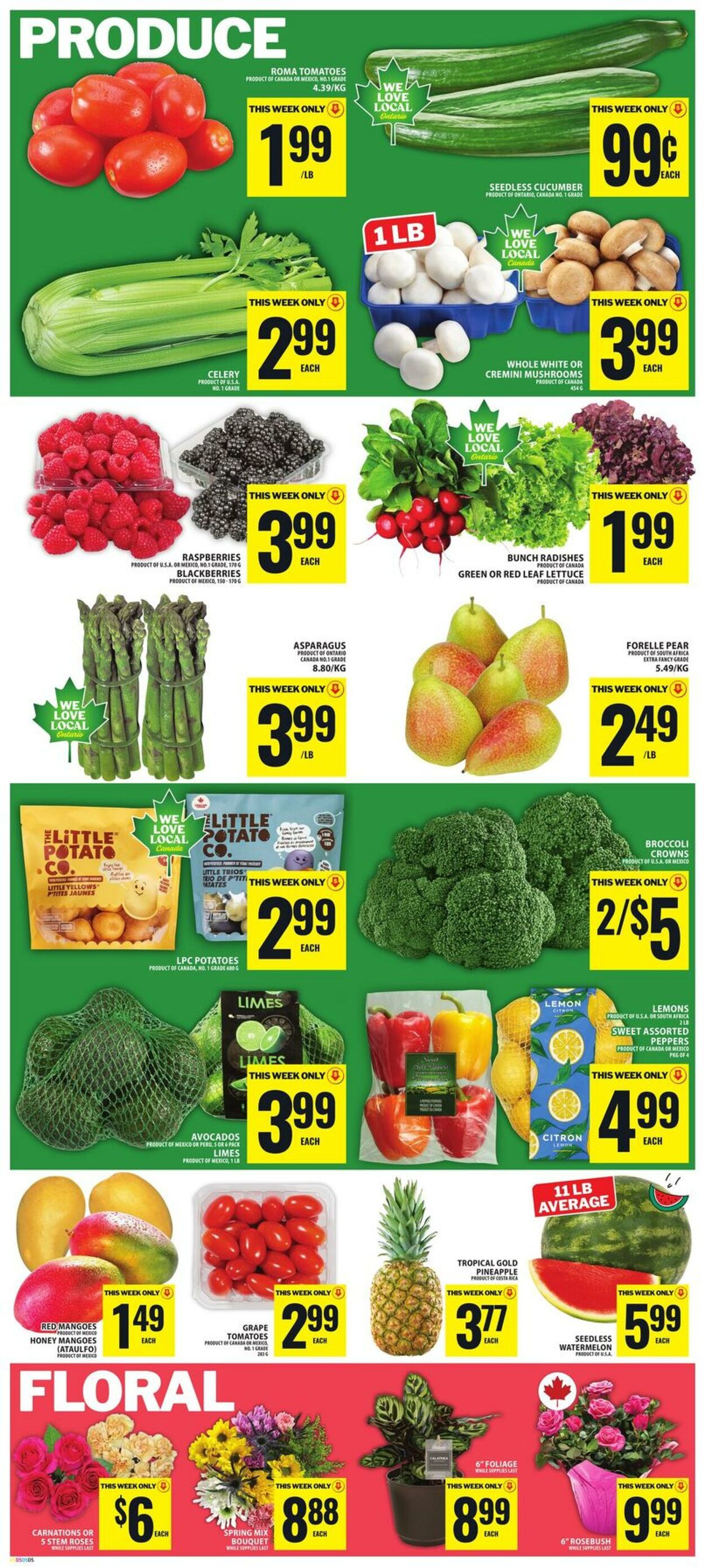 Circulaire Food Basics 18.06.2026 - 24.06.2026