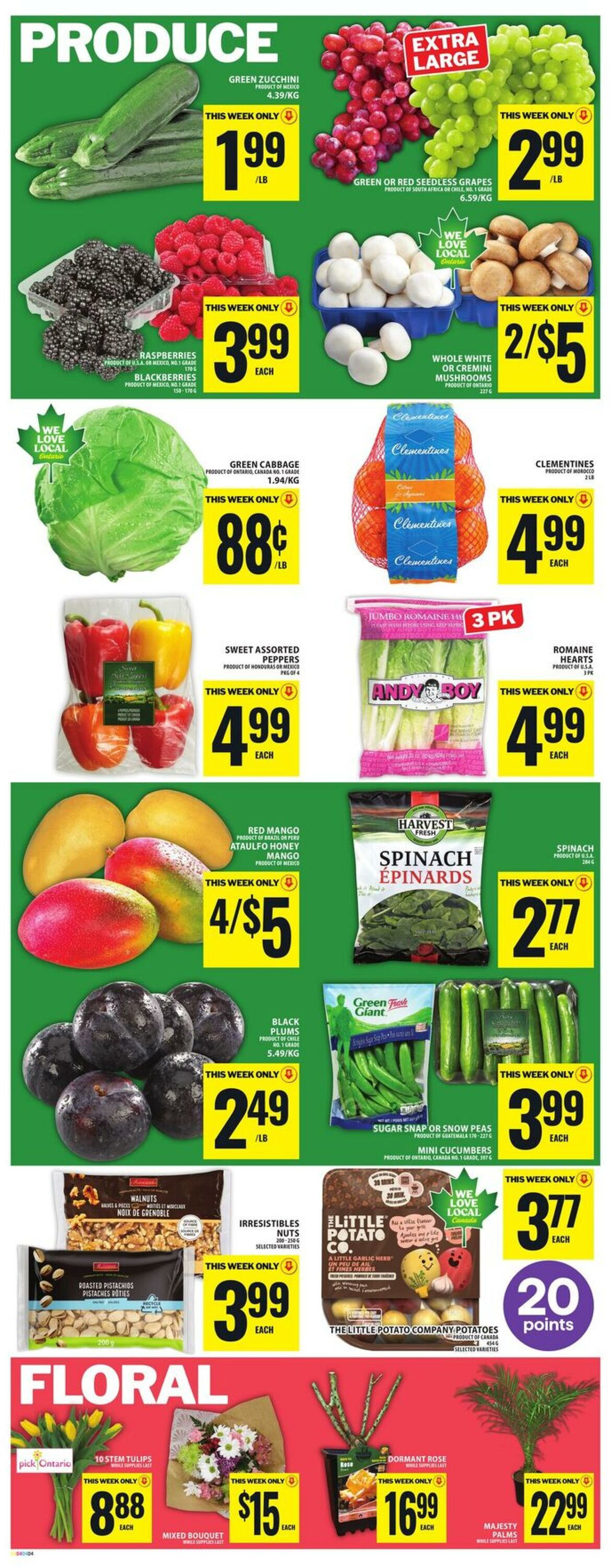 Circulaire Food Basics 23.04.2026 - 29.04.2026