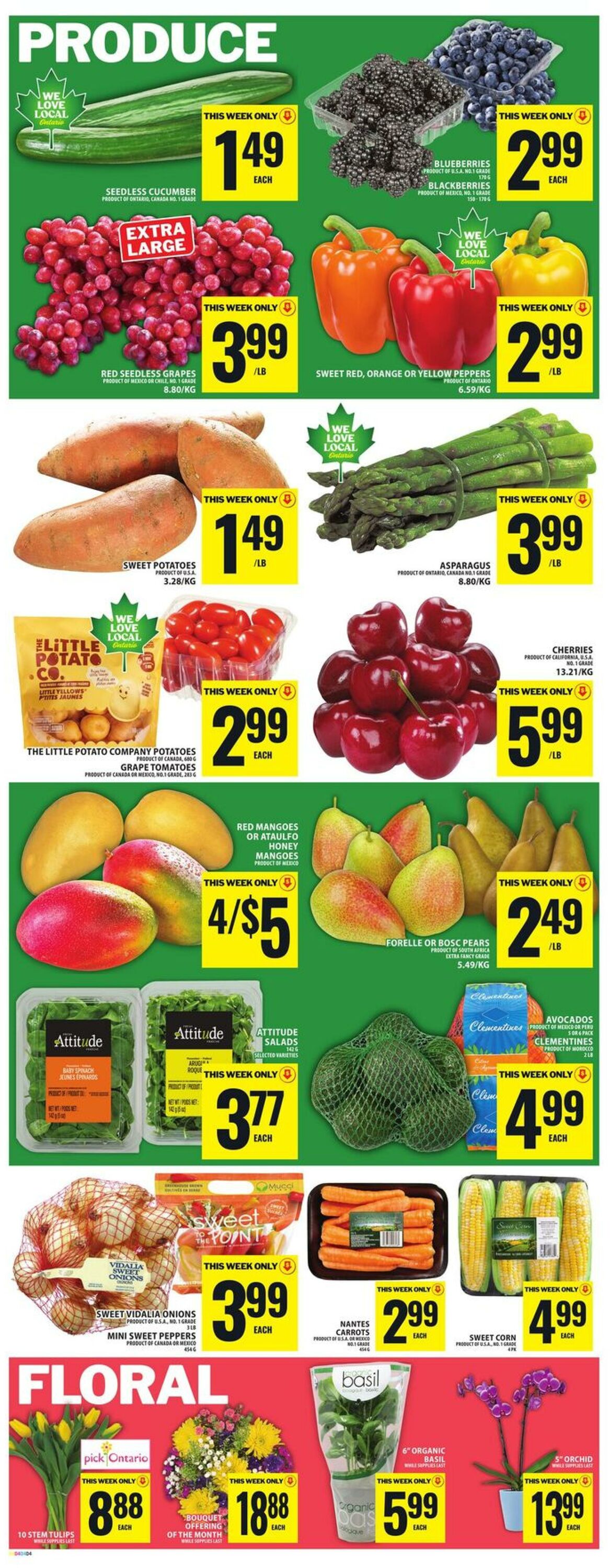 Circulaire Food Basics 14.05.2026 - 20.05.2026
