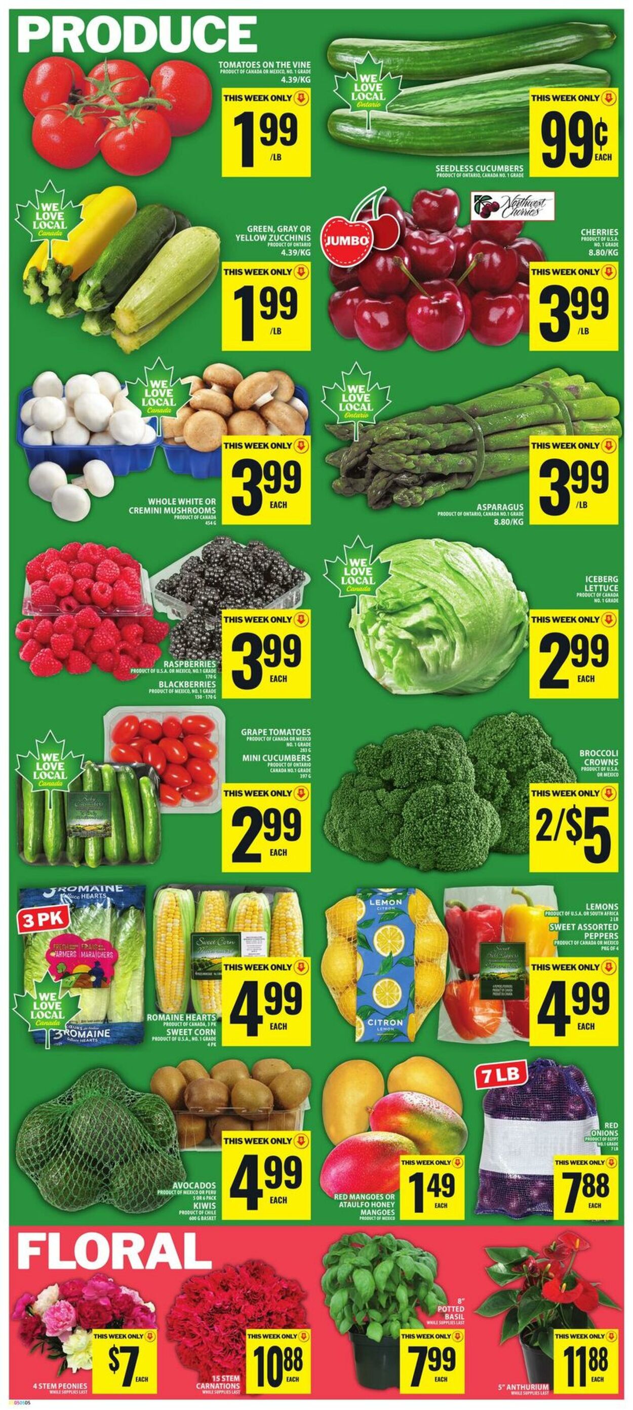 Circulaire Food Basics 25.06.2026 - 01.07.2026