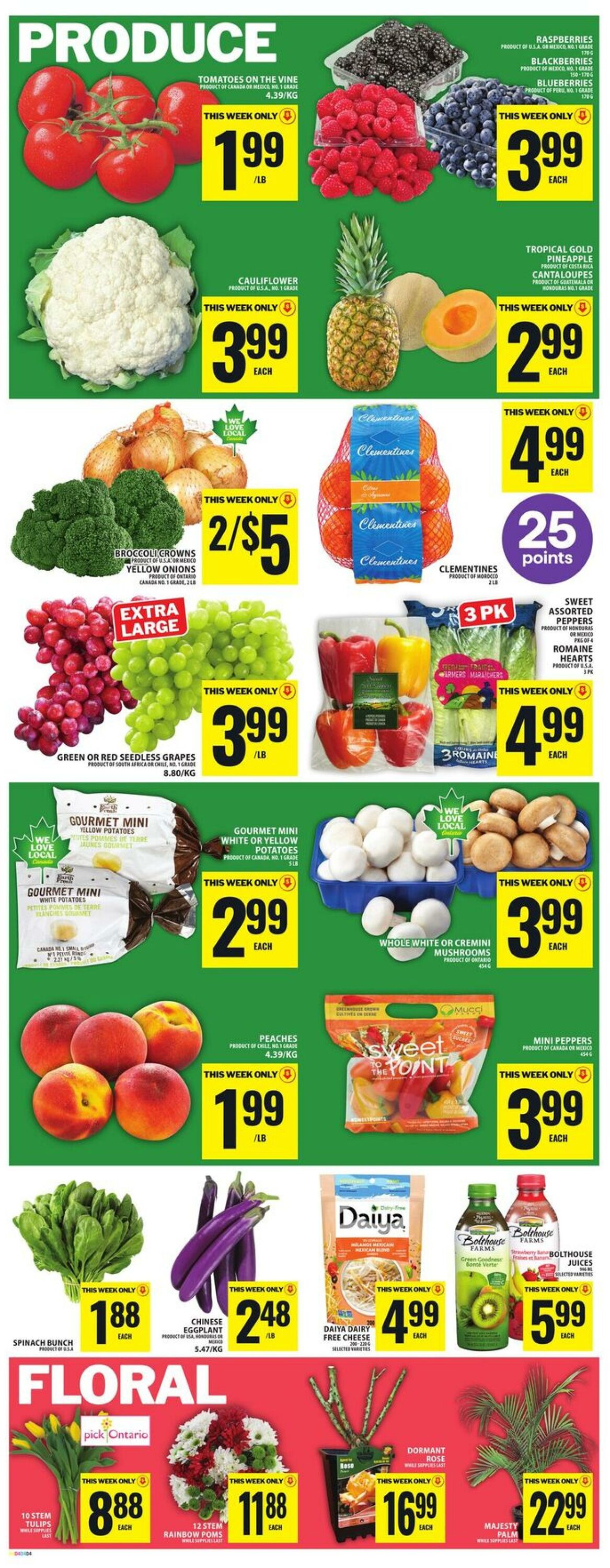 Circulaire Food Basics 09.04.2026 - 15.04.2026
