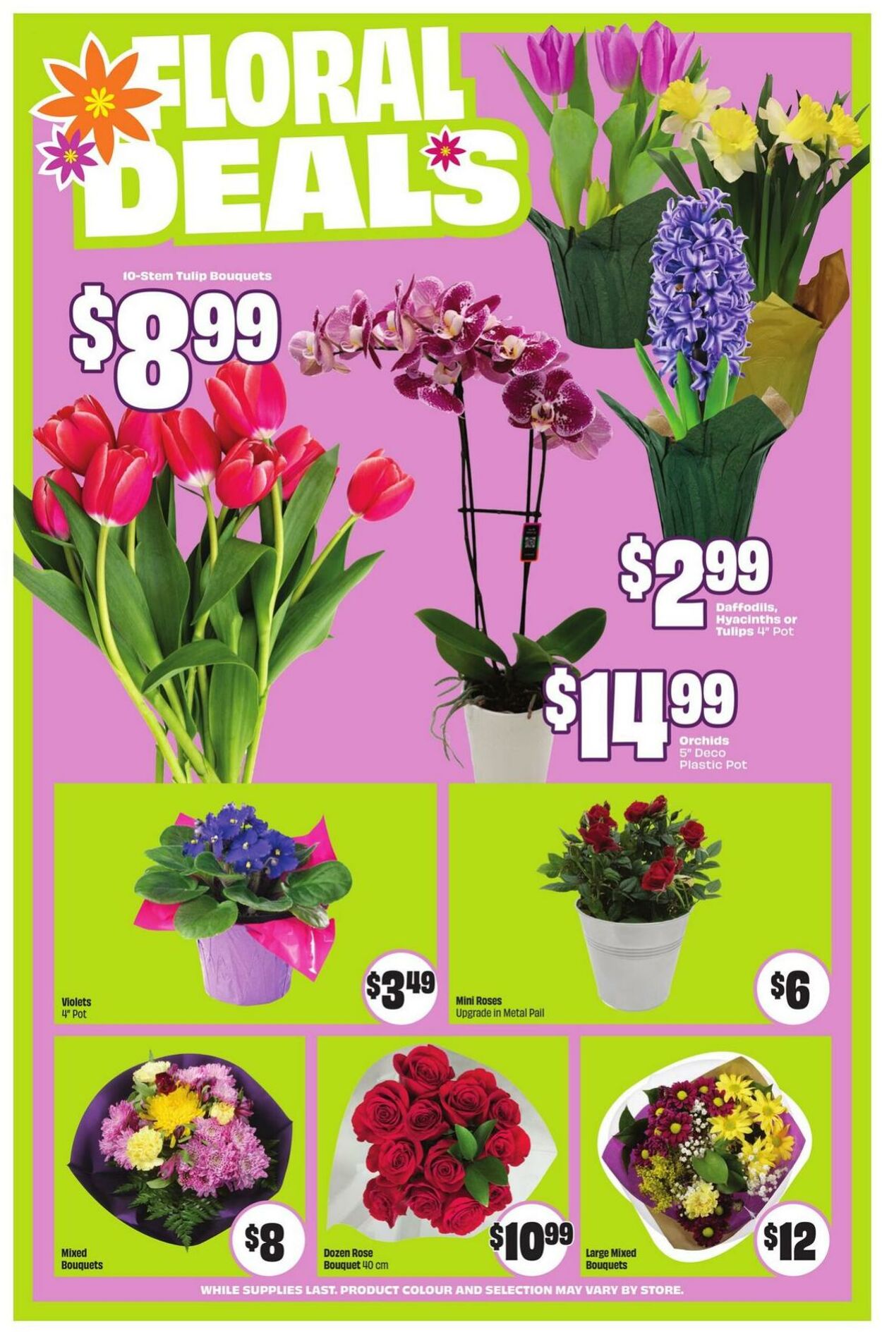 Circulaire FreshCo 05.03.2026 - 11.03.2026