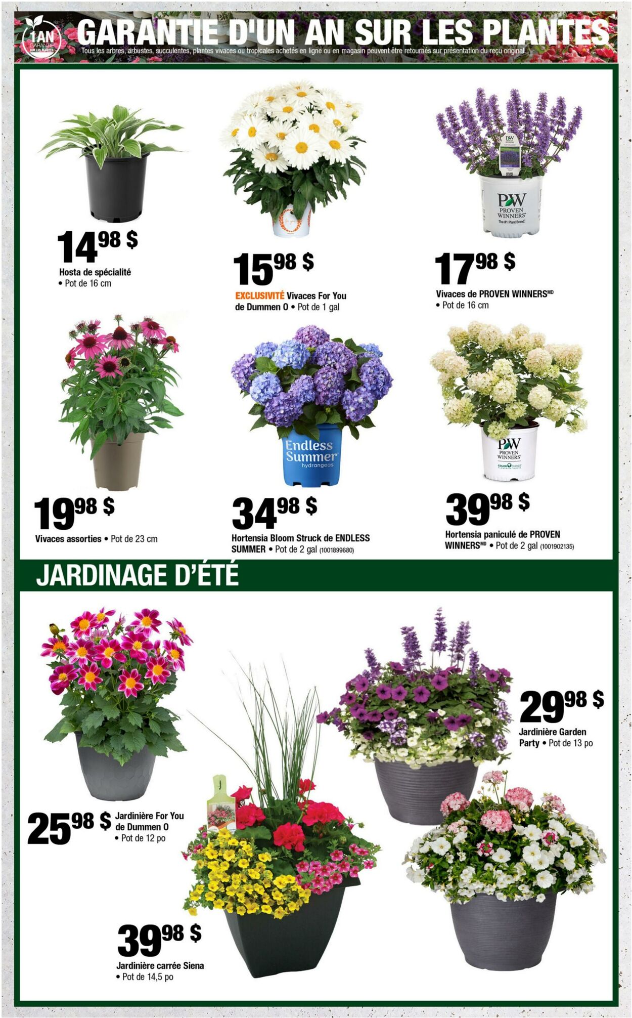 Circulaire Home Depot 25.06.2026 - 08.07.2026