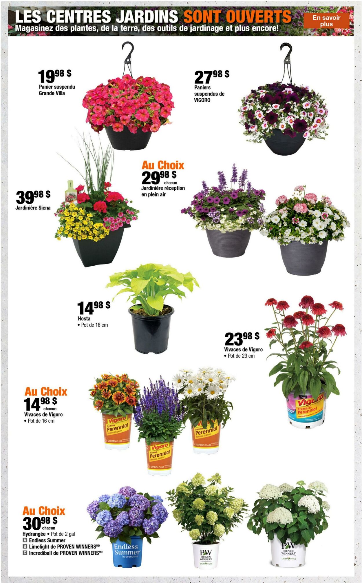 Circulaire Home Depot 11.06.2026 - 24.06.2026