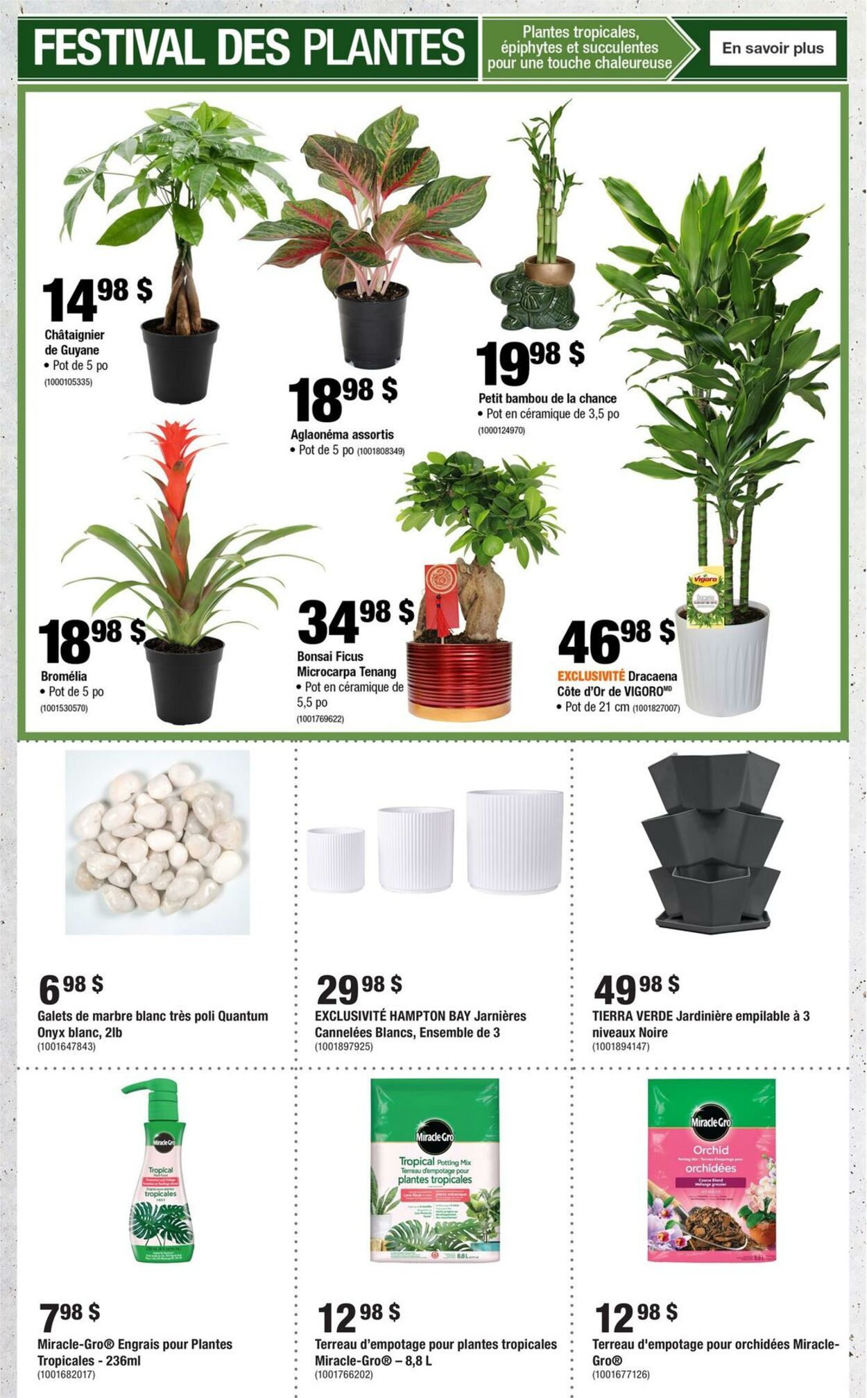 Circulaire Home Depot 30.01.2025 - 05.02.2025