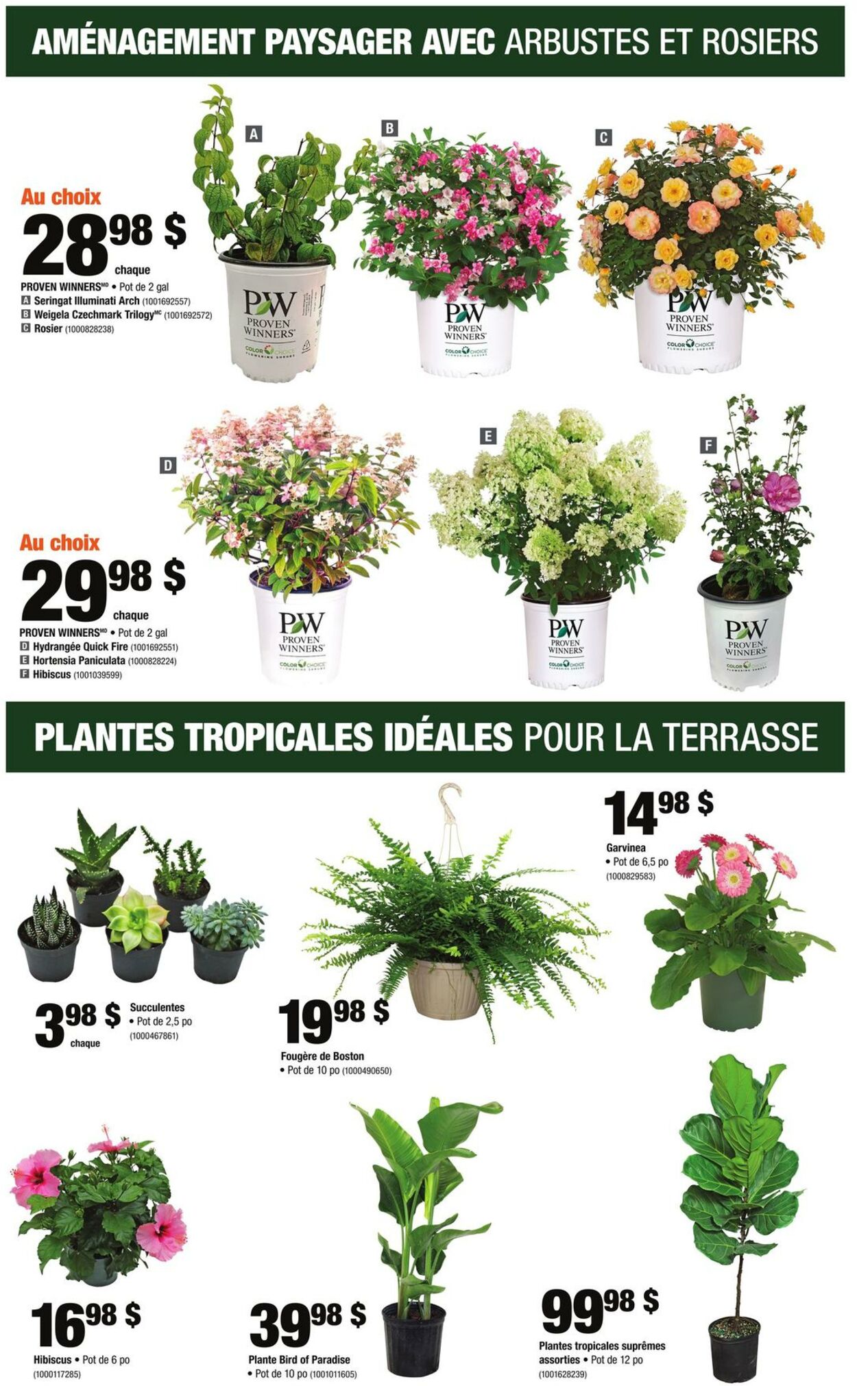 Circulaire Home Depot 25.05.2023 - 31.05.2023