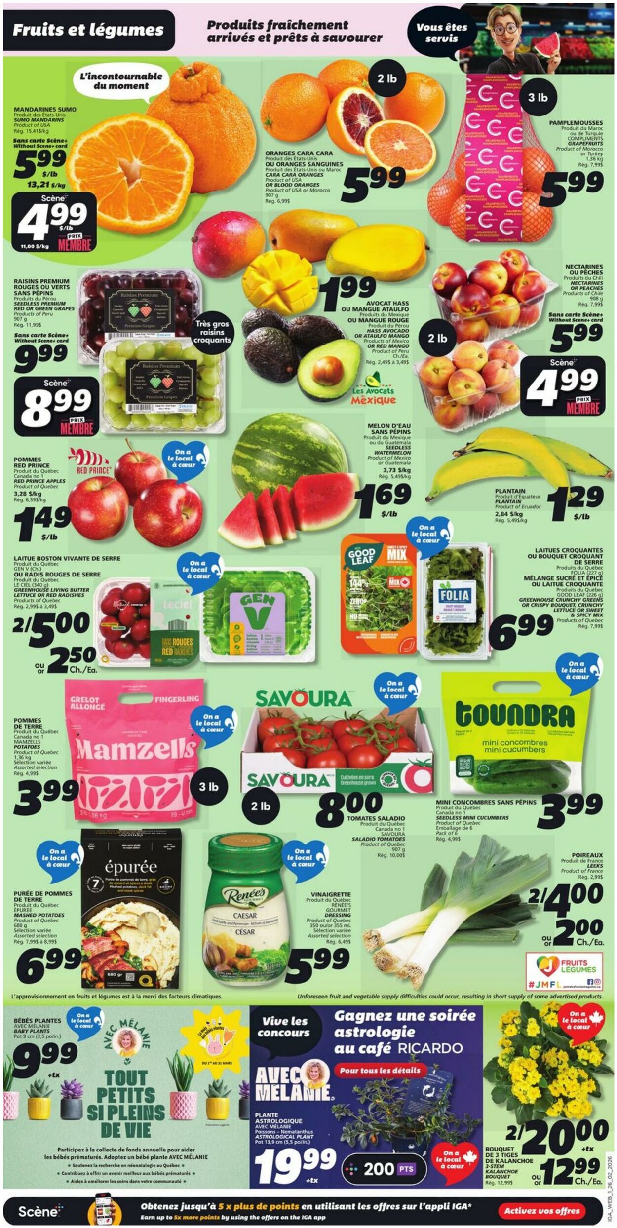 Circulaire IGA 26.02.2026 - 04.03.2026