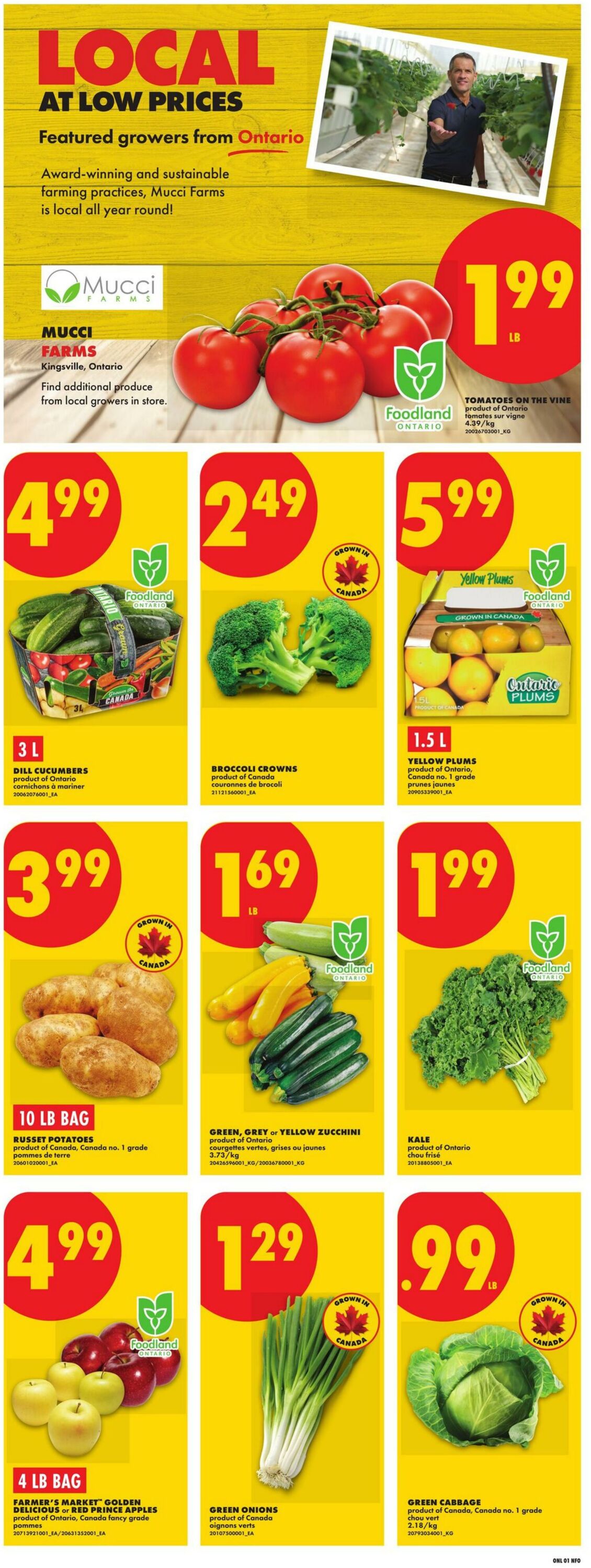 Circulaire No Frills 16.07.2026 - 22.07.2026