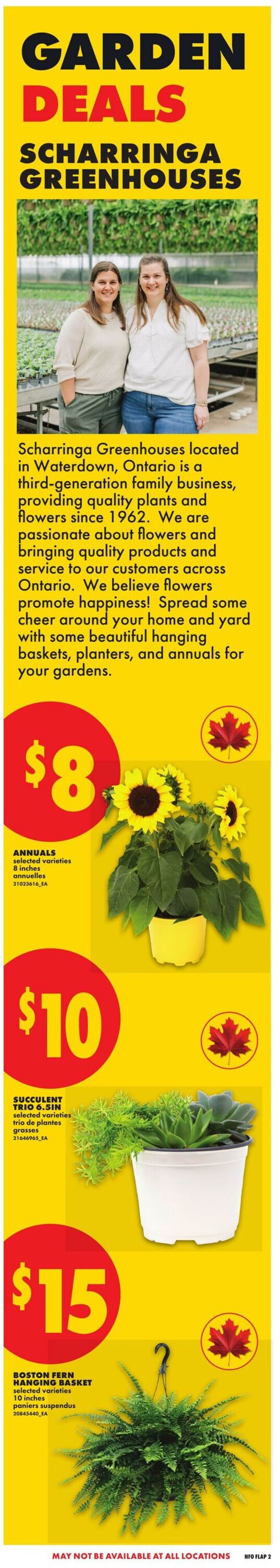 Circulaire No Frills 28.05.2026 - 03.06.2026