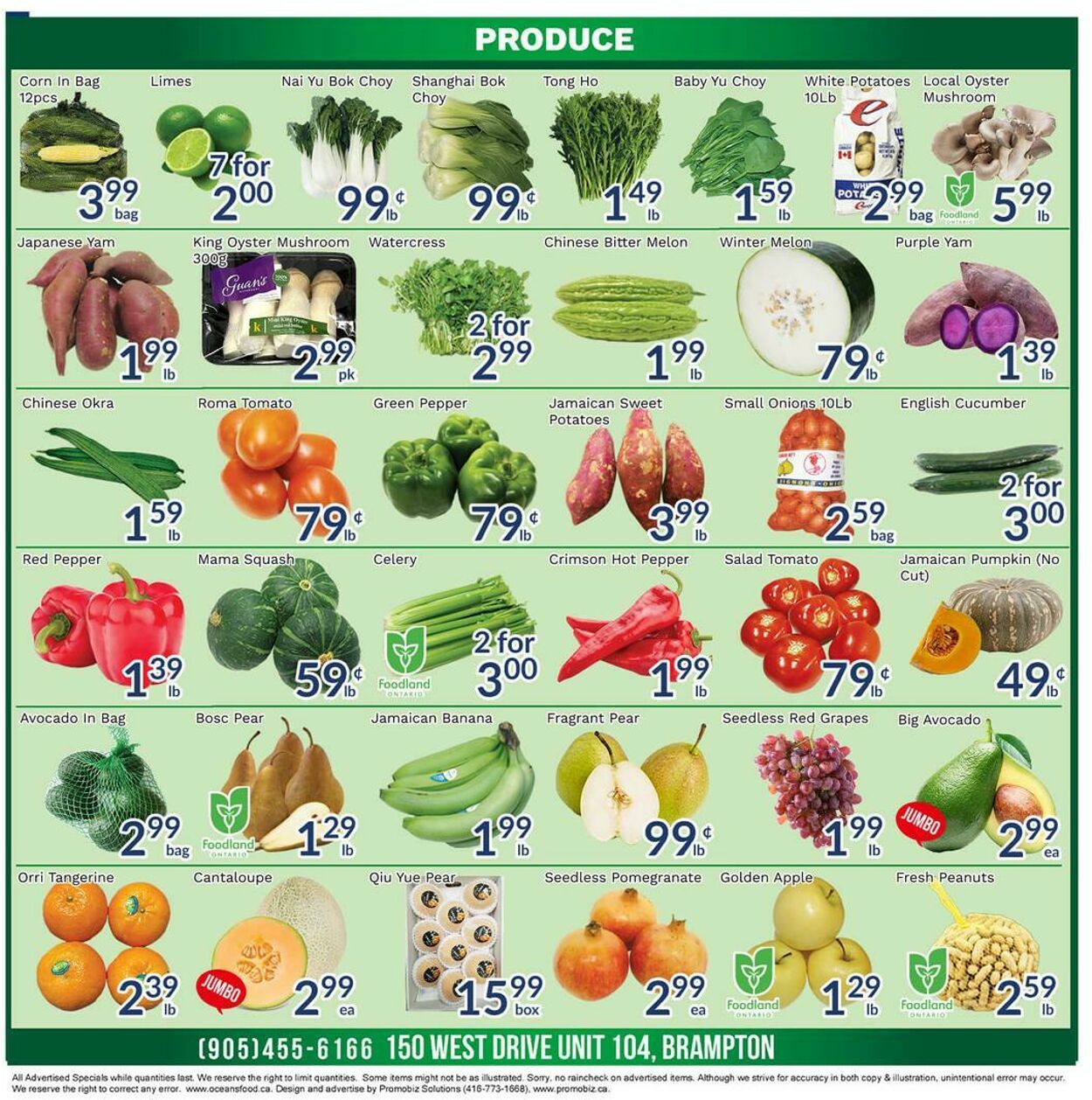 Circulaire Oceans Fresh Food Market 26.09.2025 - 02.10.2025