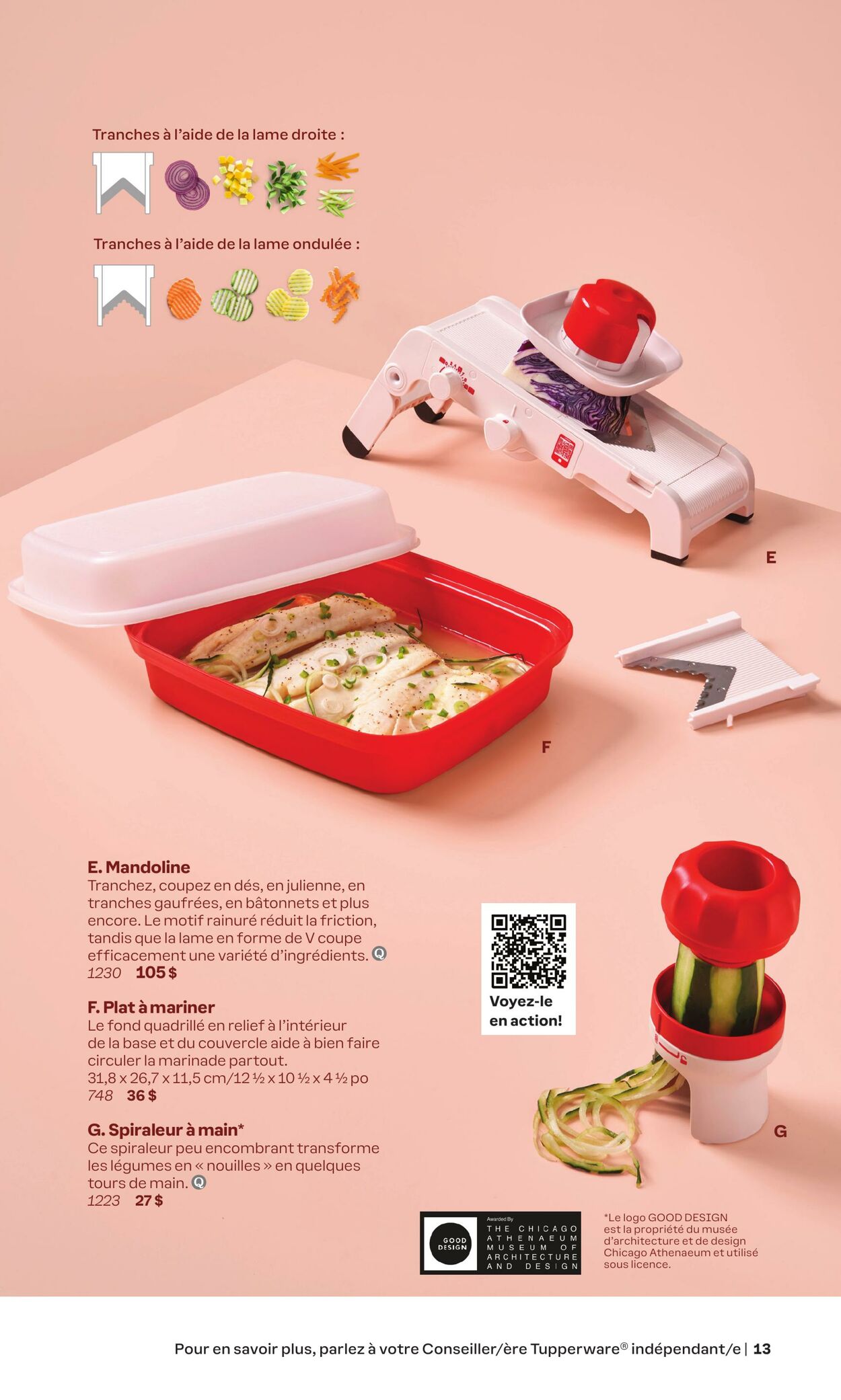 Circulaire Tupperware 01.01.2024 - 31.05.2024