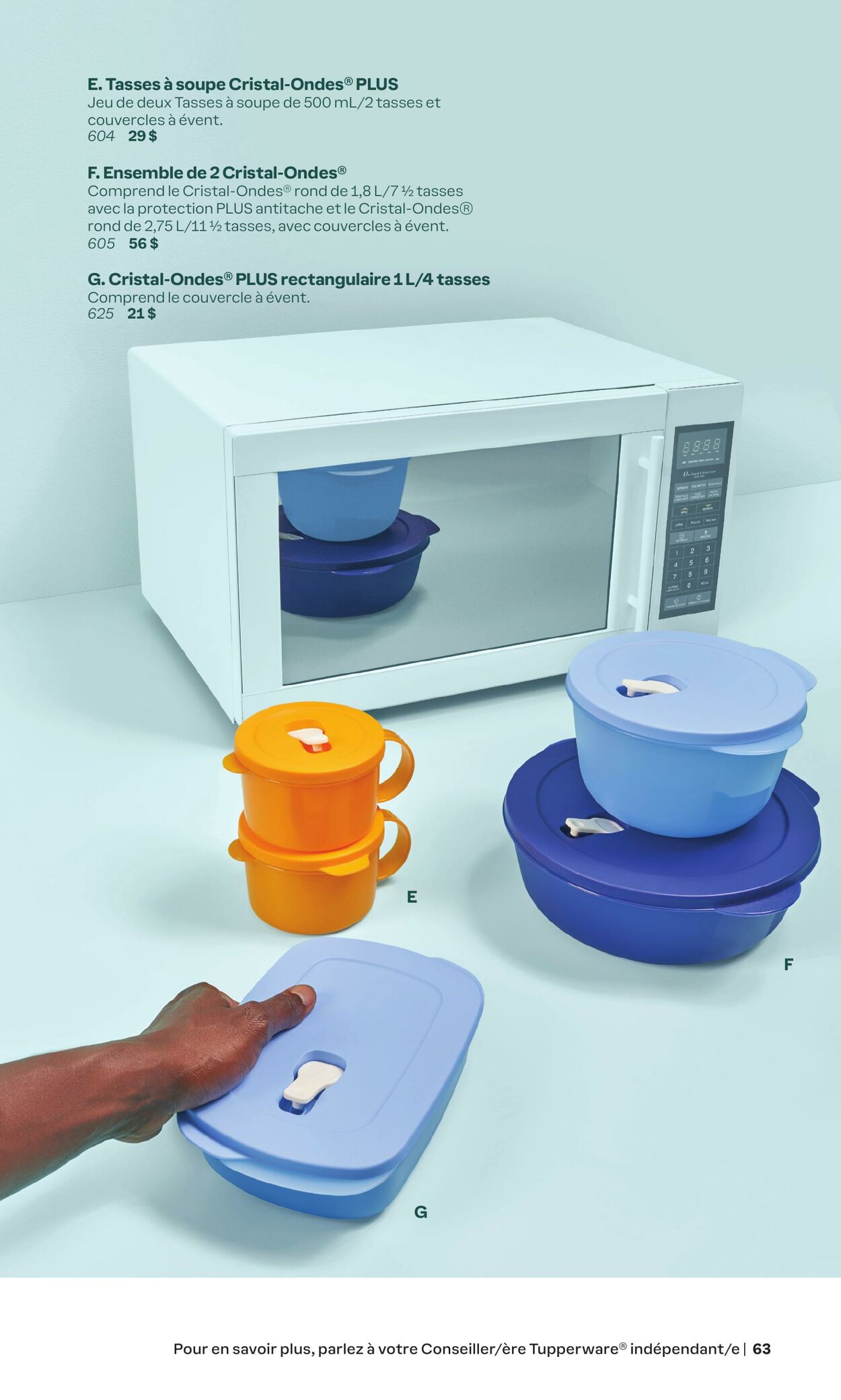 Circulaire Tupperware 01.01.2024 - 31.05.2024