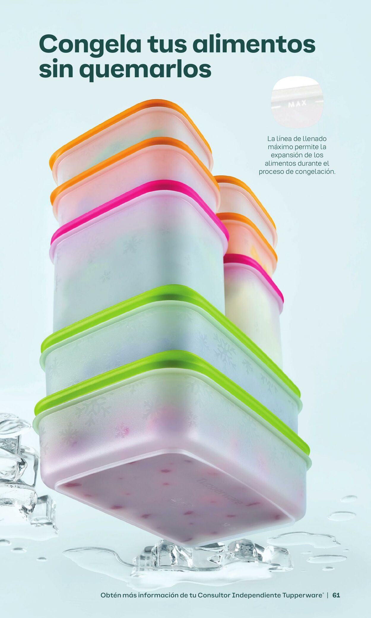 Circulaire Tupperware 05.12.2024 - 05.01.2025